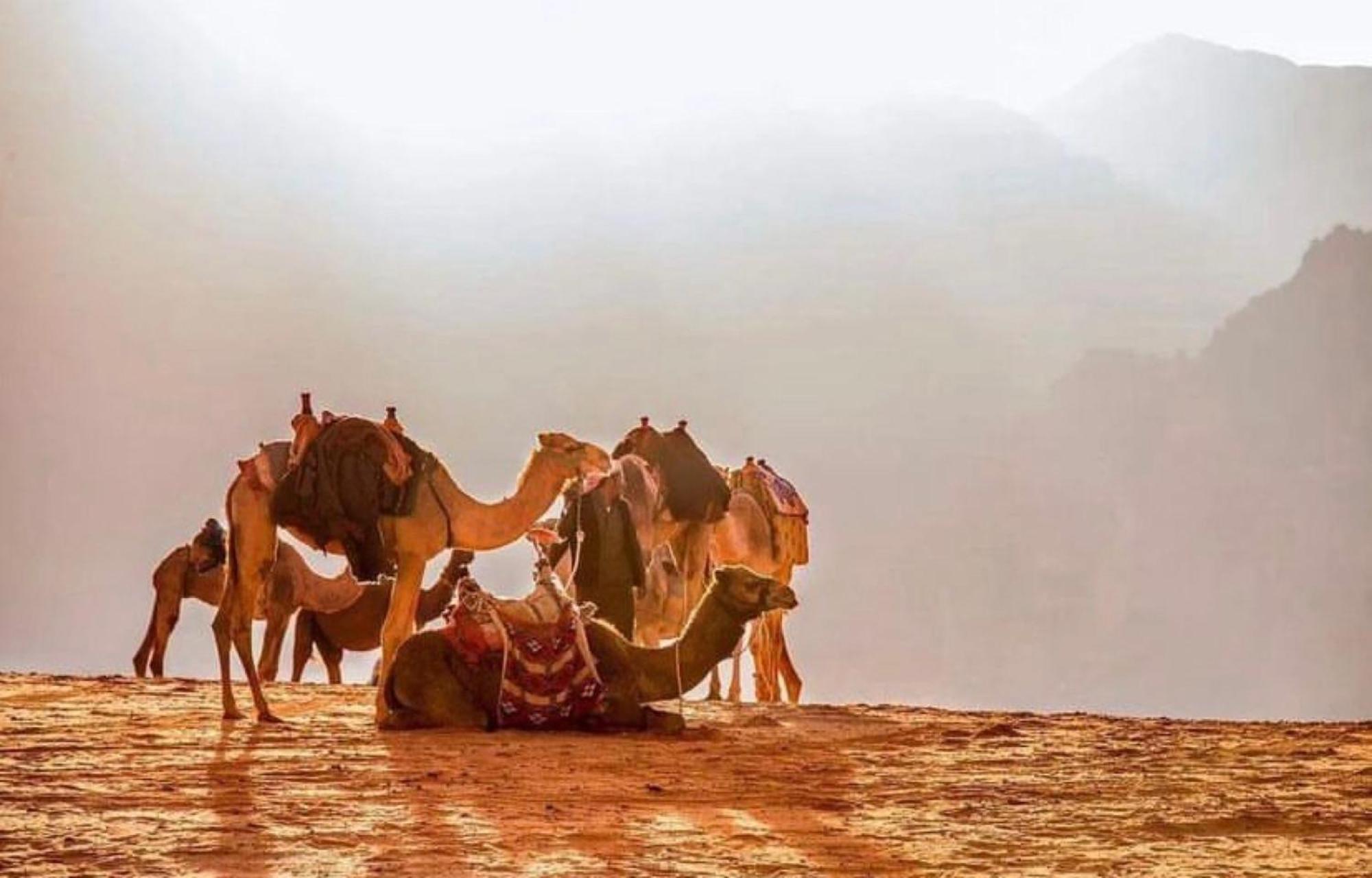 SANTANA wadi rum Eksteriør billede